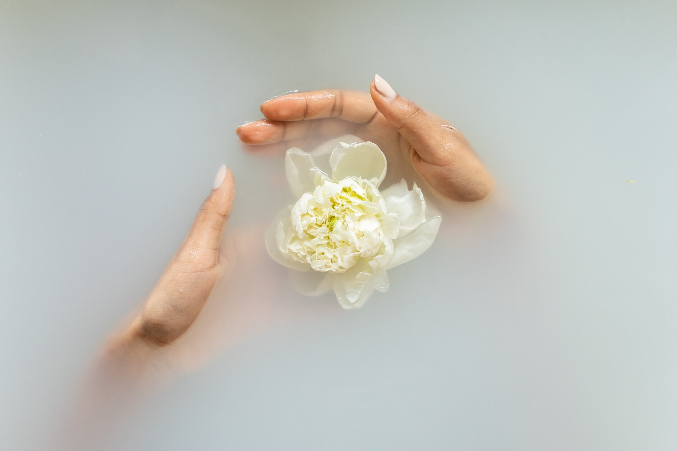 Mains tenant une fleur dans de l'eau claire dans un spa à Tanger. Contact Meday Spa Tanger.